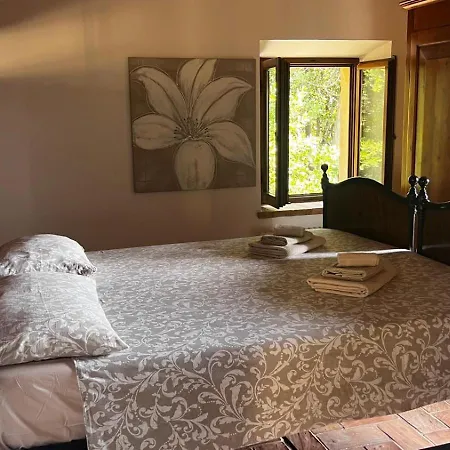 Boccolini - Apartment *